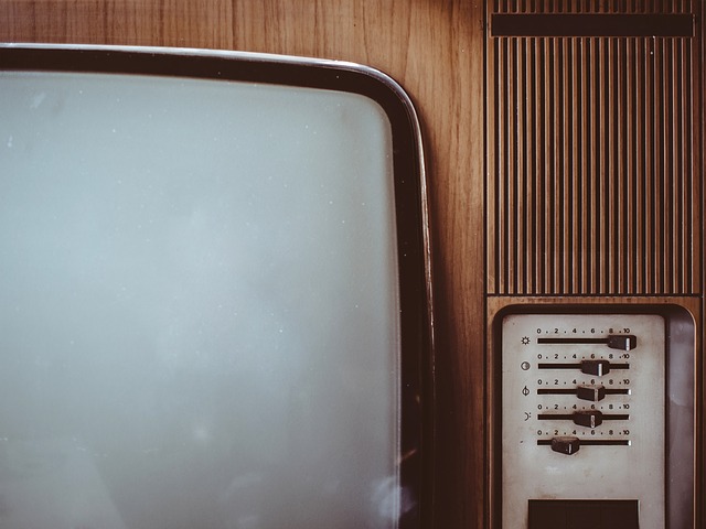 La tutela giuridica del format televisivo: una nuova decisione della Cassazione